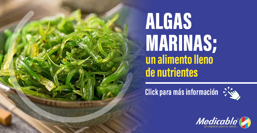 imagen del artículo Algas marinas
