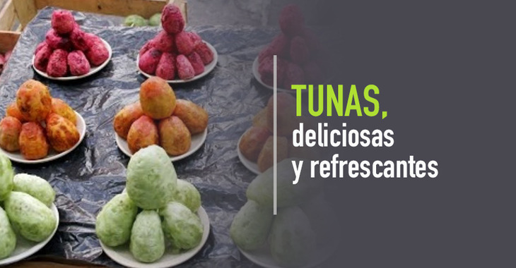 imagen del articulo Tunas, deliciosas y refrescantes