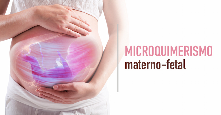 imagen del artículo Microquimerismo materno-fetal