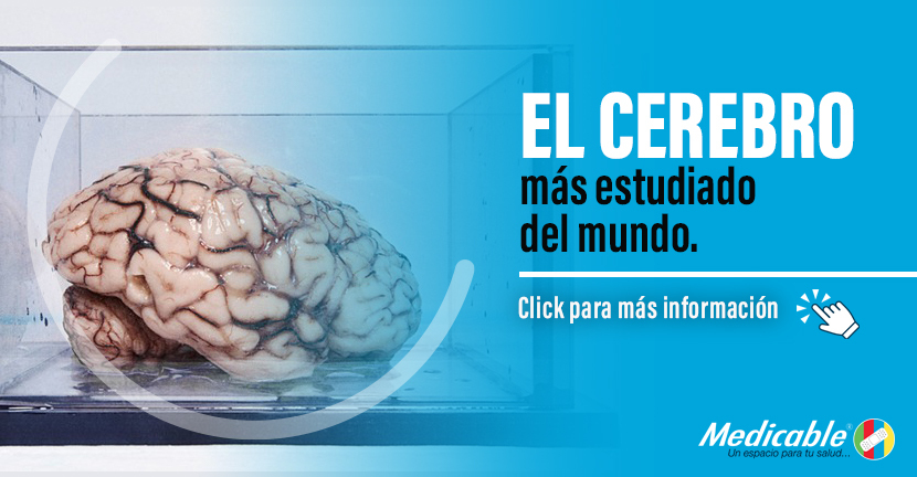imagen del articulo El cerebro más estudiado del mundo