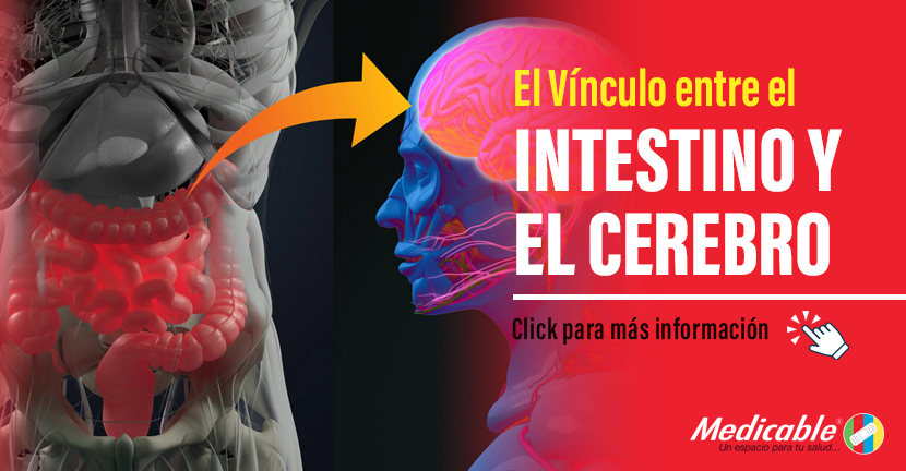 imagen del articulo El vínculo entre el intestino y el cerebro