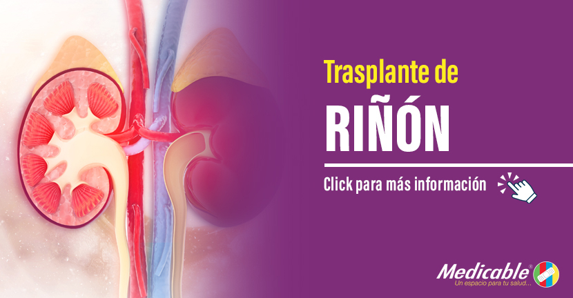 imagen del articulo Trasplante de riñón