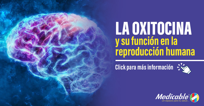 imagen del articulo La oxitocina y su función en la reproducción humana