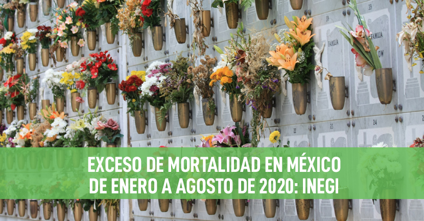 imagen del articulo Exceso de mortalidad en México de enero a agosto de 2020: INEGI