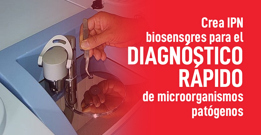 imagen del artículo Crea IPN biosensores para el diagnóstico rápido de microorganismos patógenos