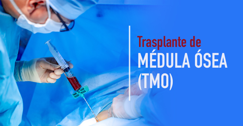 imagen del artículo Lo que debes saber sobre el trasplante de médula ósea (TMO)