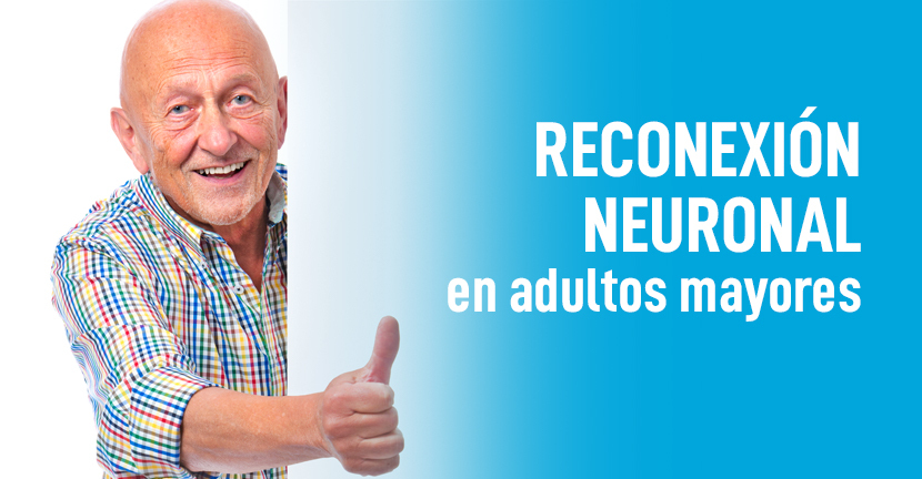 imagen del artículo Reconexión neuronal en adultos mayores