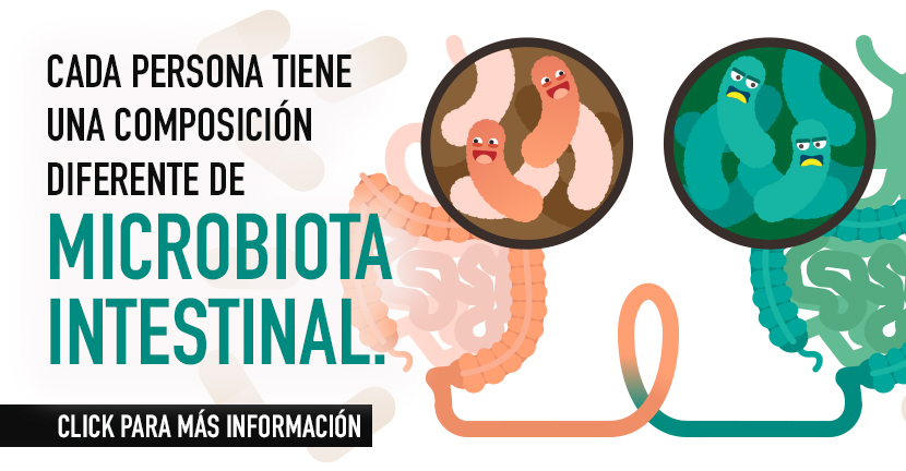 imagen del artículo Microbiota intestinal