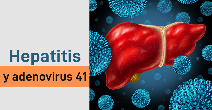 imagen del artículo Hepatitis y adenovirus 41