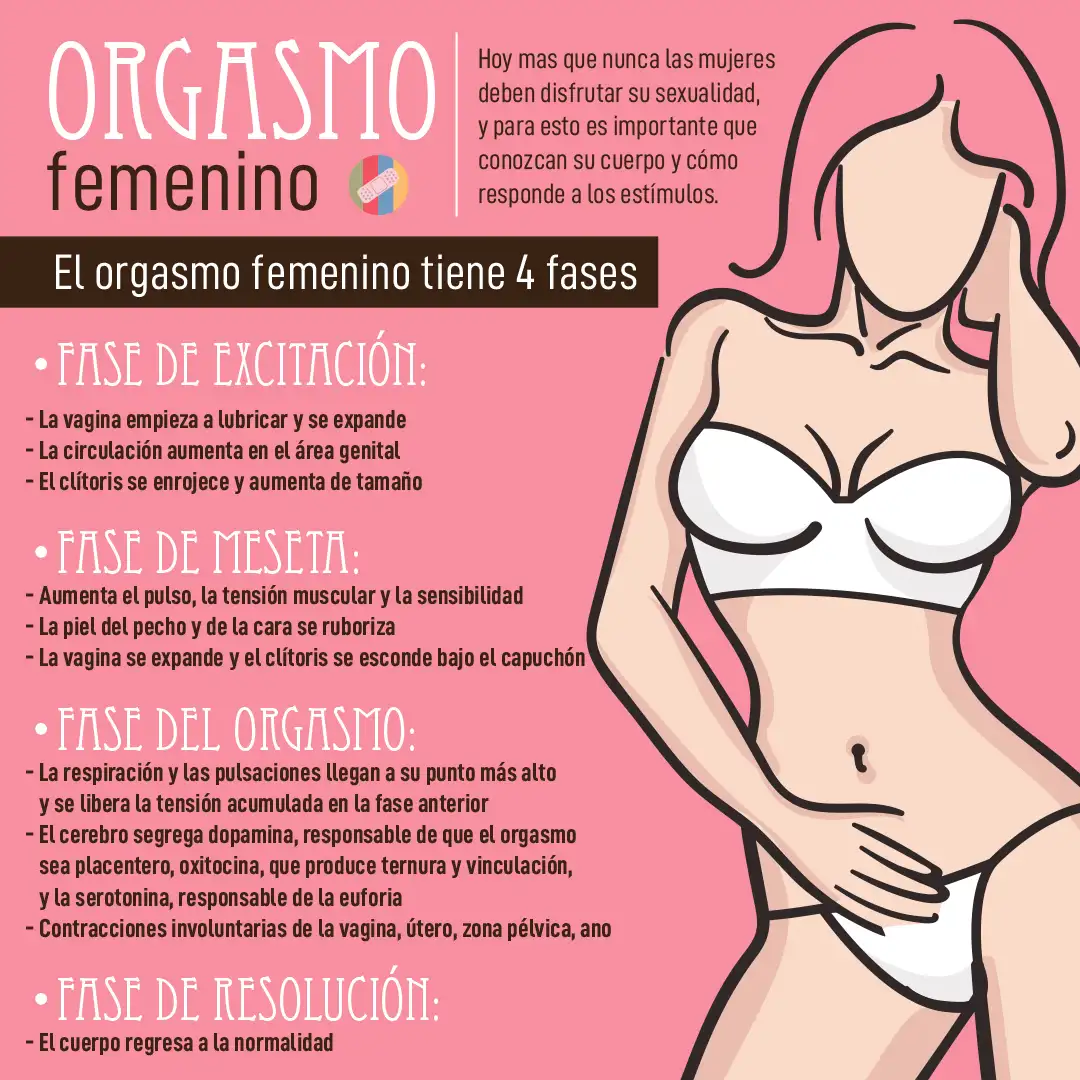 imagen de la infografia Orgasmo femenino