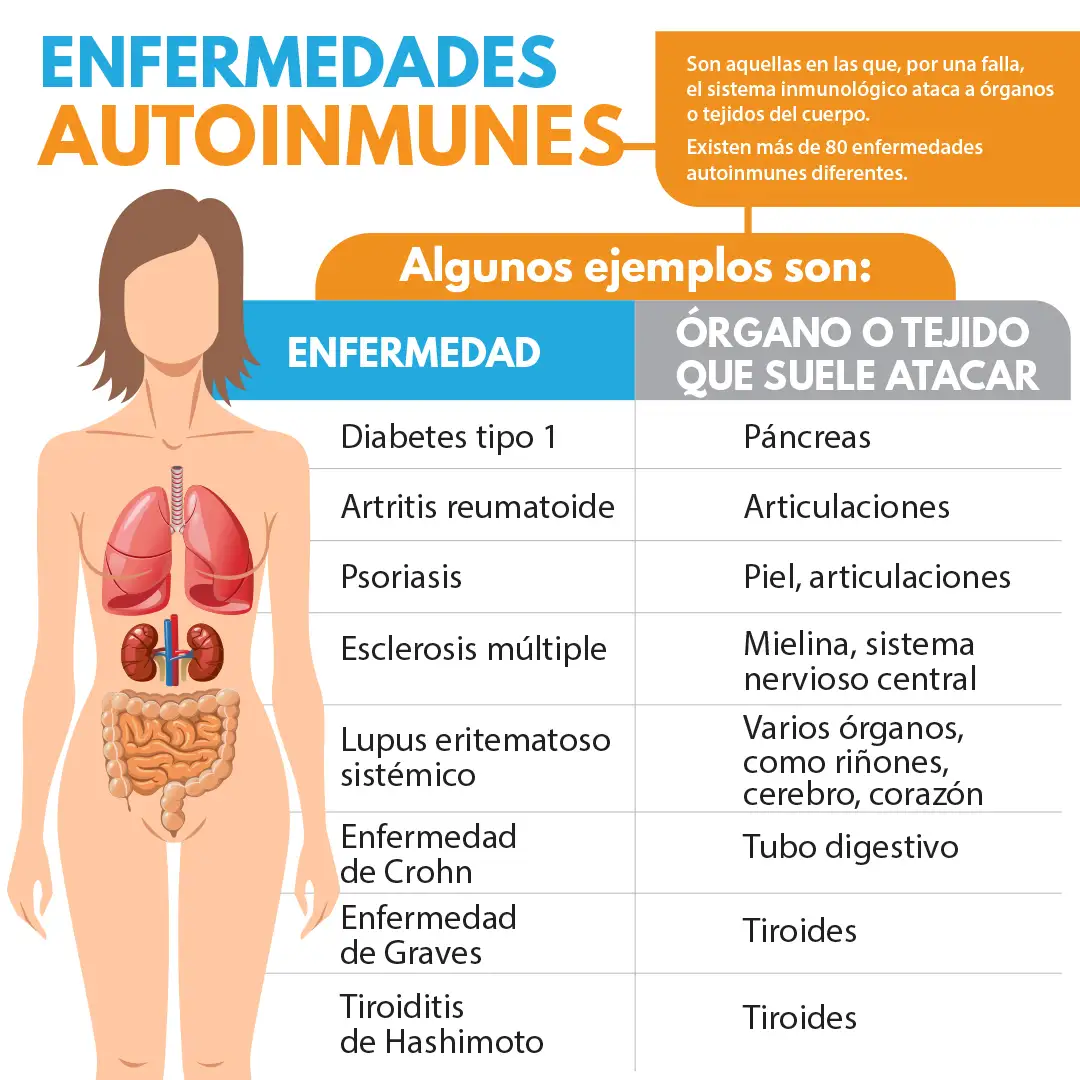 imagen de la infografia Enfermedades autoinmunes