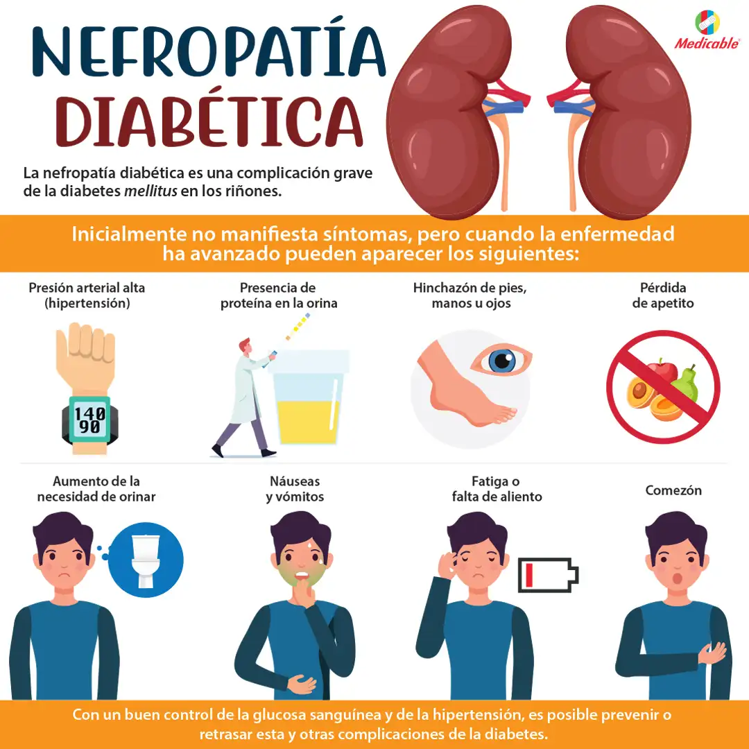 imagen del artículo Nefropatía diabética