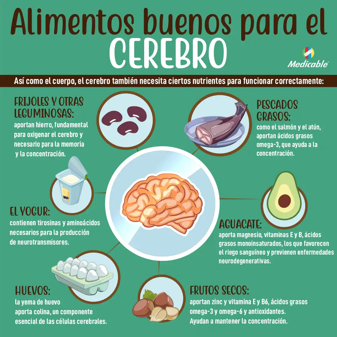 imagen de la infografia Alimentos buenos para el cerebro