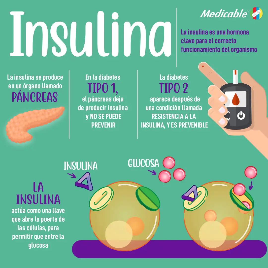 imagen del artículo Insulina