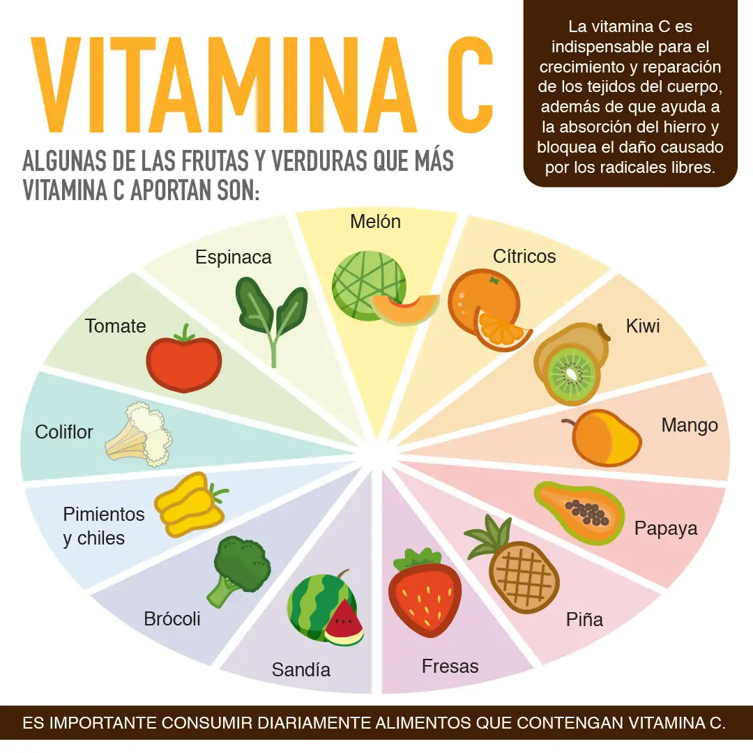 imagen de la infografia Vitamina C