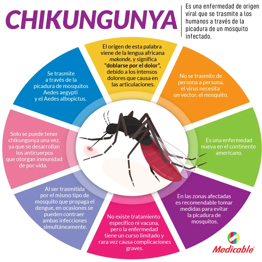 imagen del artículo Chikungunya