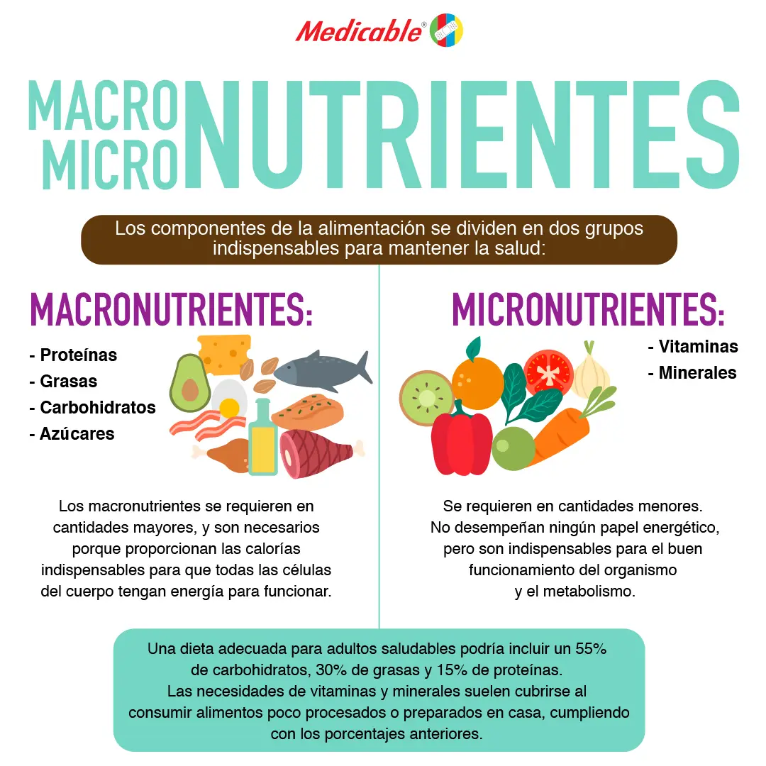 imagen de la infografia Micro nutrientes y Macro nutrientes