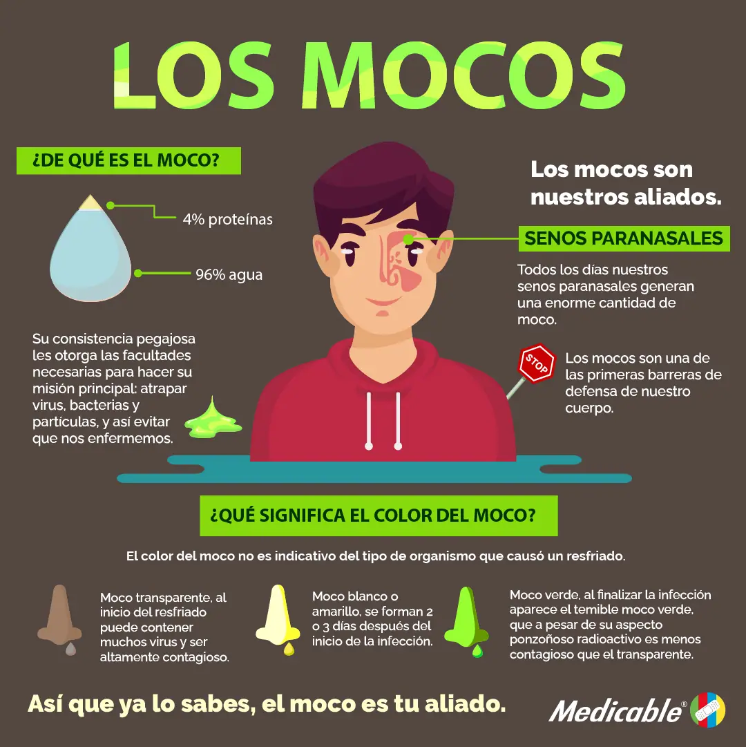 imagen de la infografia Los Mocos