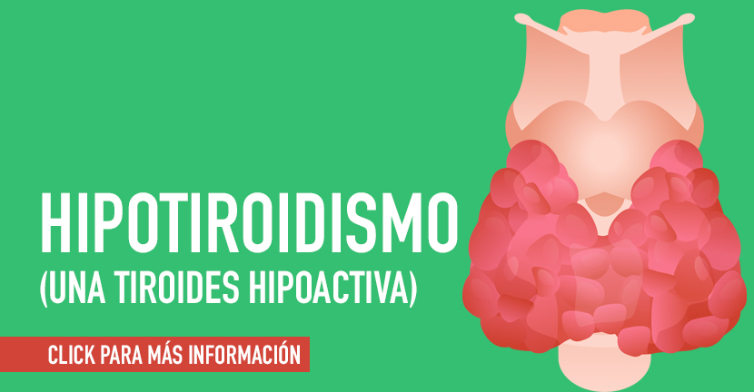 imagen de la infografia Hipotiroidismo una tiroides hipoactiva