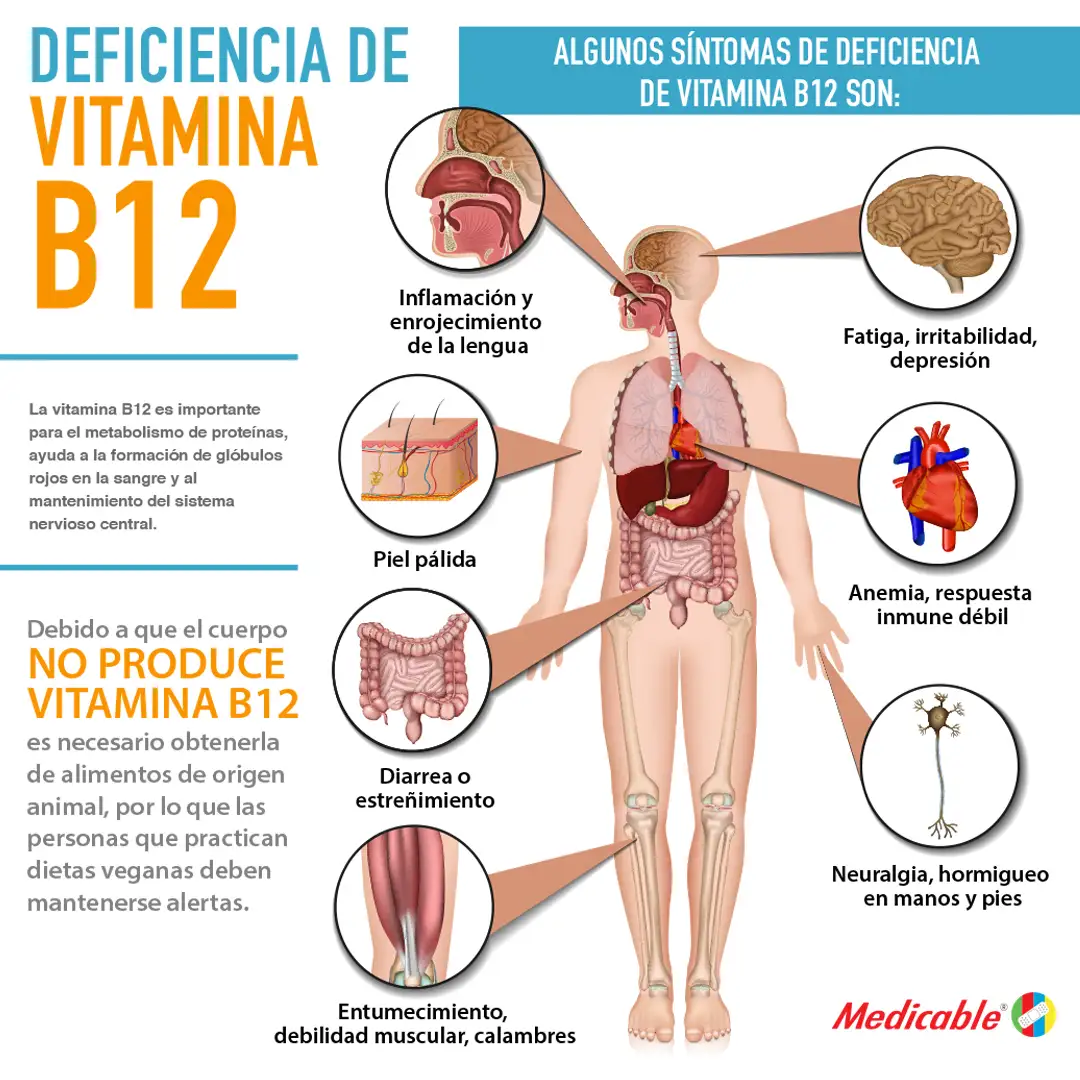 imagen de la infografia Deficiencia de vitamina B12