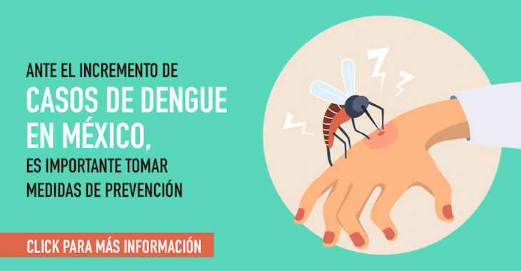 imagen de la infografia Dengue medidas de prevención