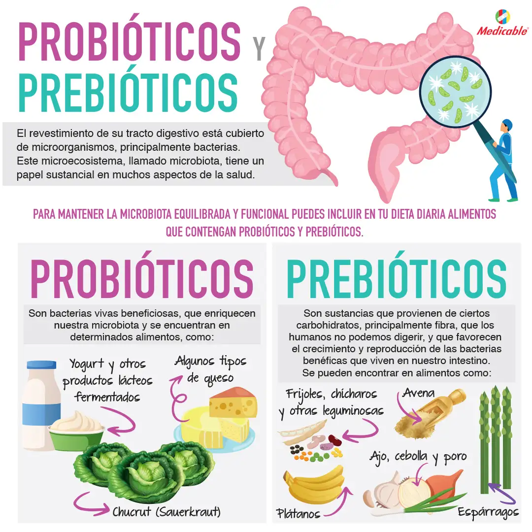 imagen de la infografia Probióticos y prebióticos 