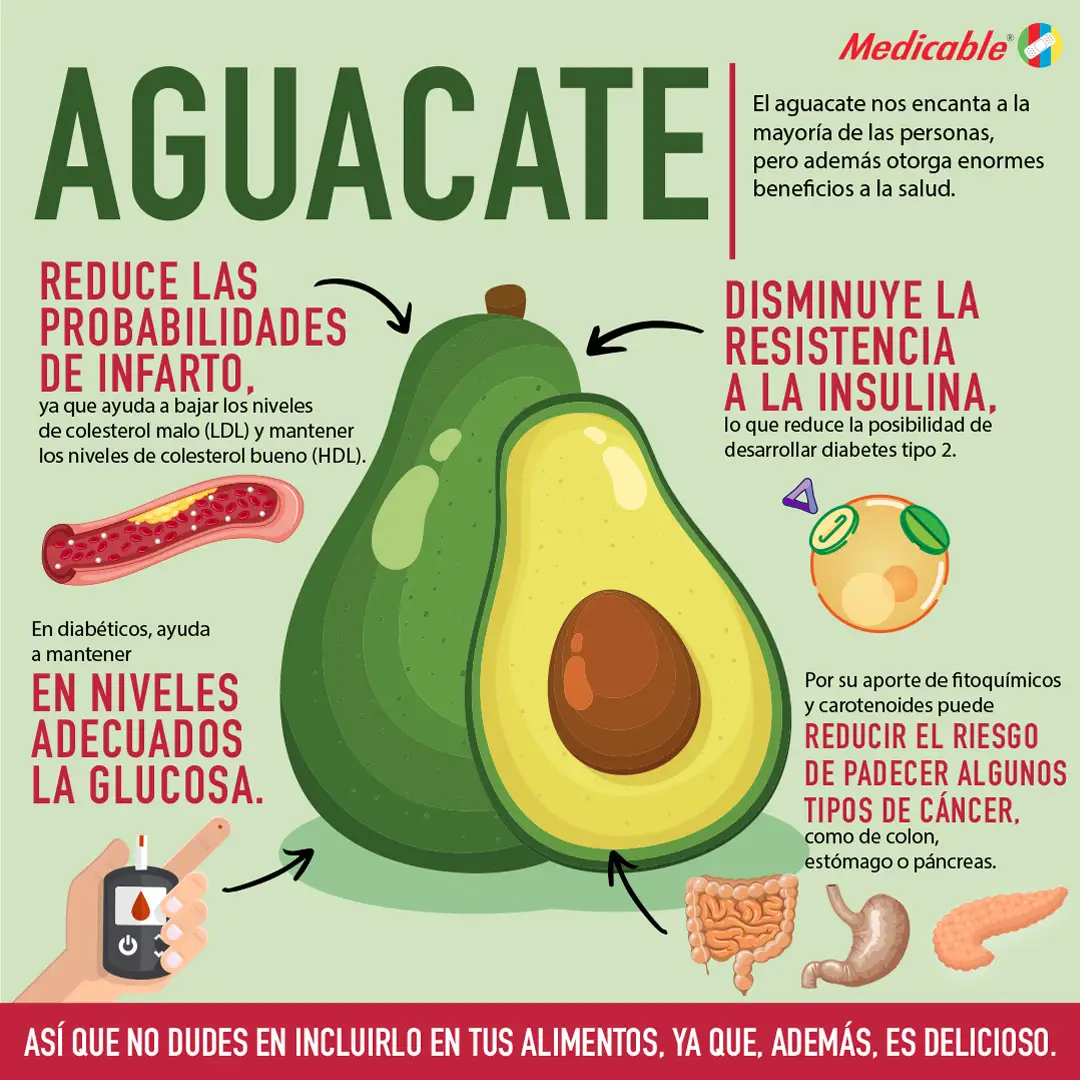imagen de la infografia Aguacate