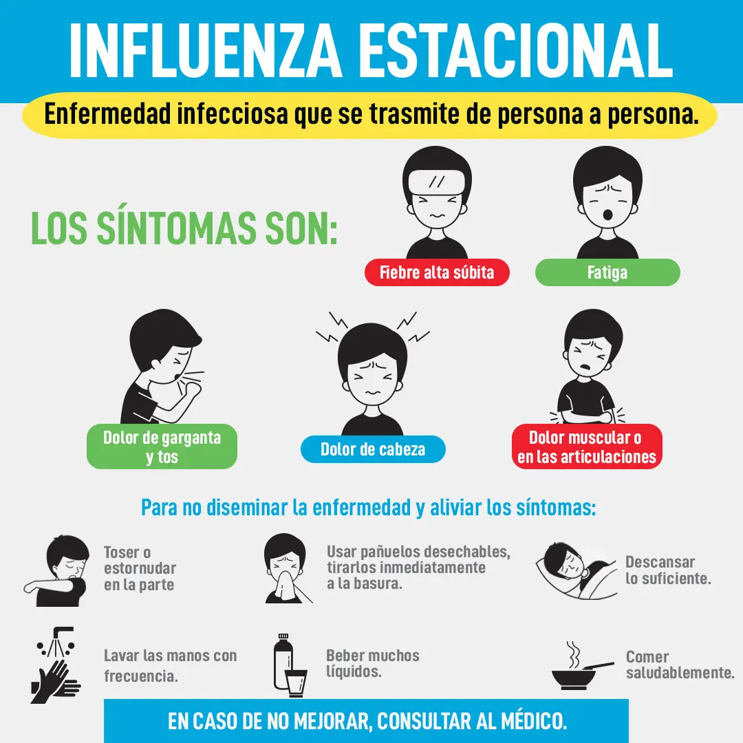 imagen de la infografia Influenza estacional 