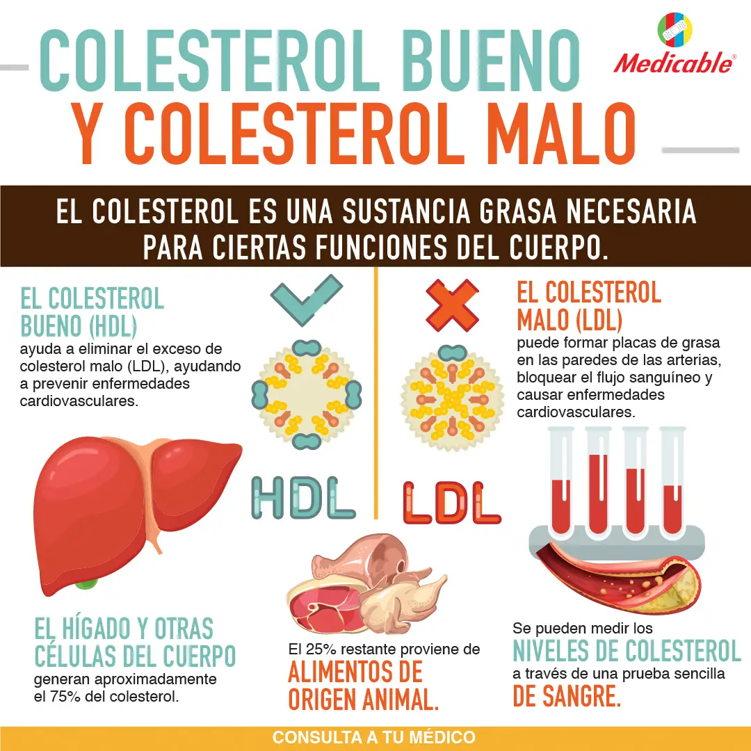 imagen de la infografia El colesterol bueno y el colesterol malo