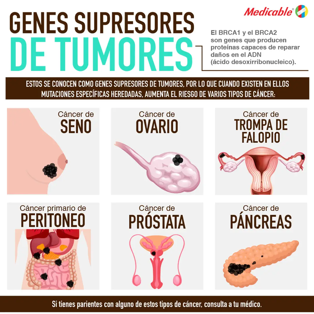 imagen de la infografia Genes supresores de tumores