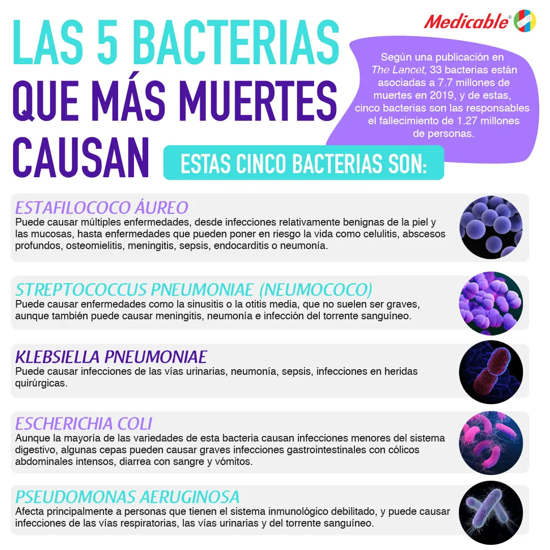 imagen de la infografia Las 5 bacterias que más muertes causan