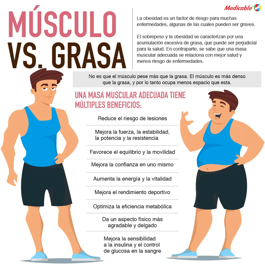 imagen de la infografia Músculo vs Grasa