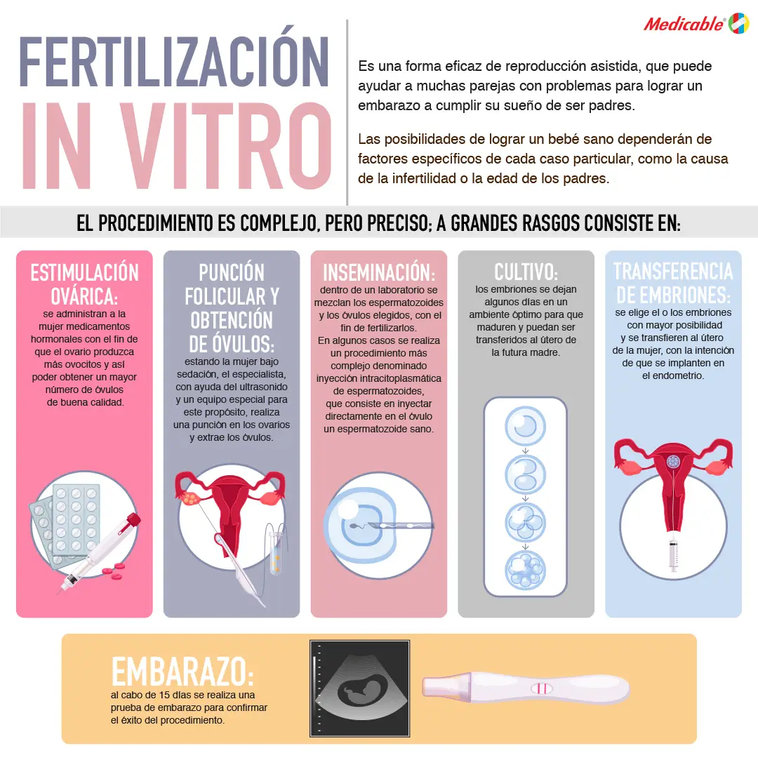 imagen de la infografia Fertilización invitro