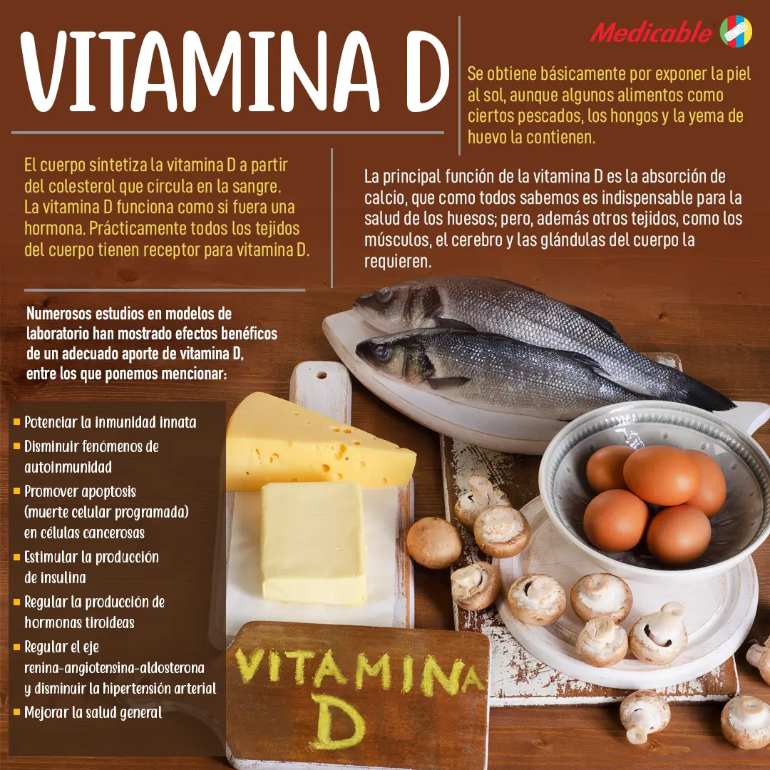 imagen de la infografia EL cuerpo sintetiza la vitamina D