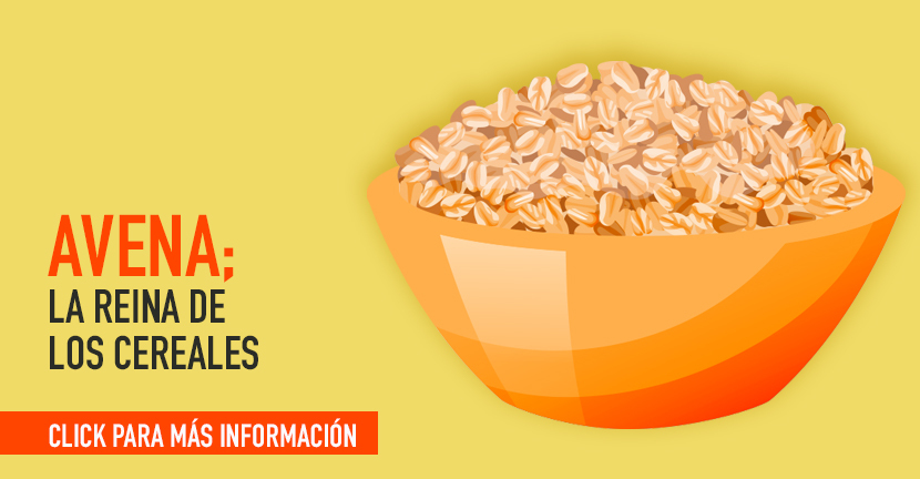 imagen de la infografia Avena la reina de los cereales