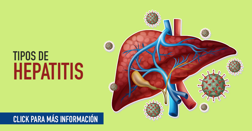 imagen de la infografia Tipos de Hepatitis 