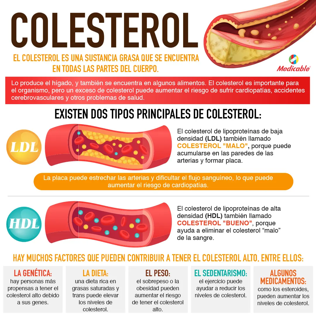 imagen de la infografia Colesterol