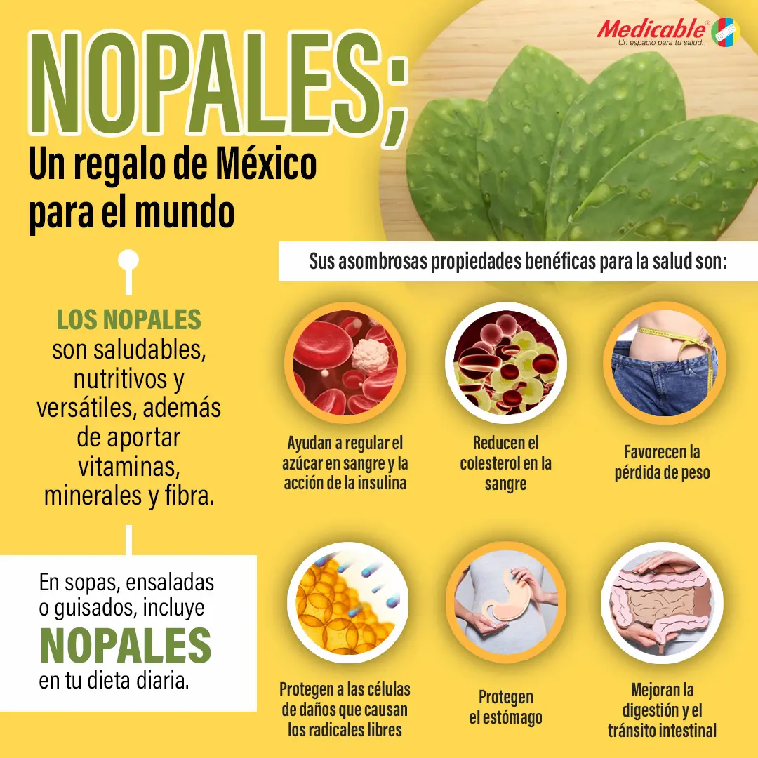 imagen de la infografia Nopales, un regalo de México al mundo