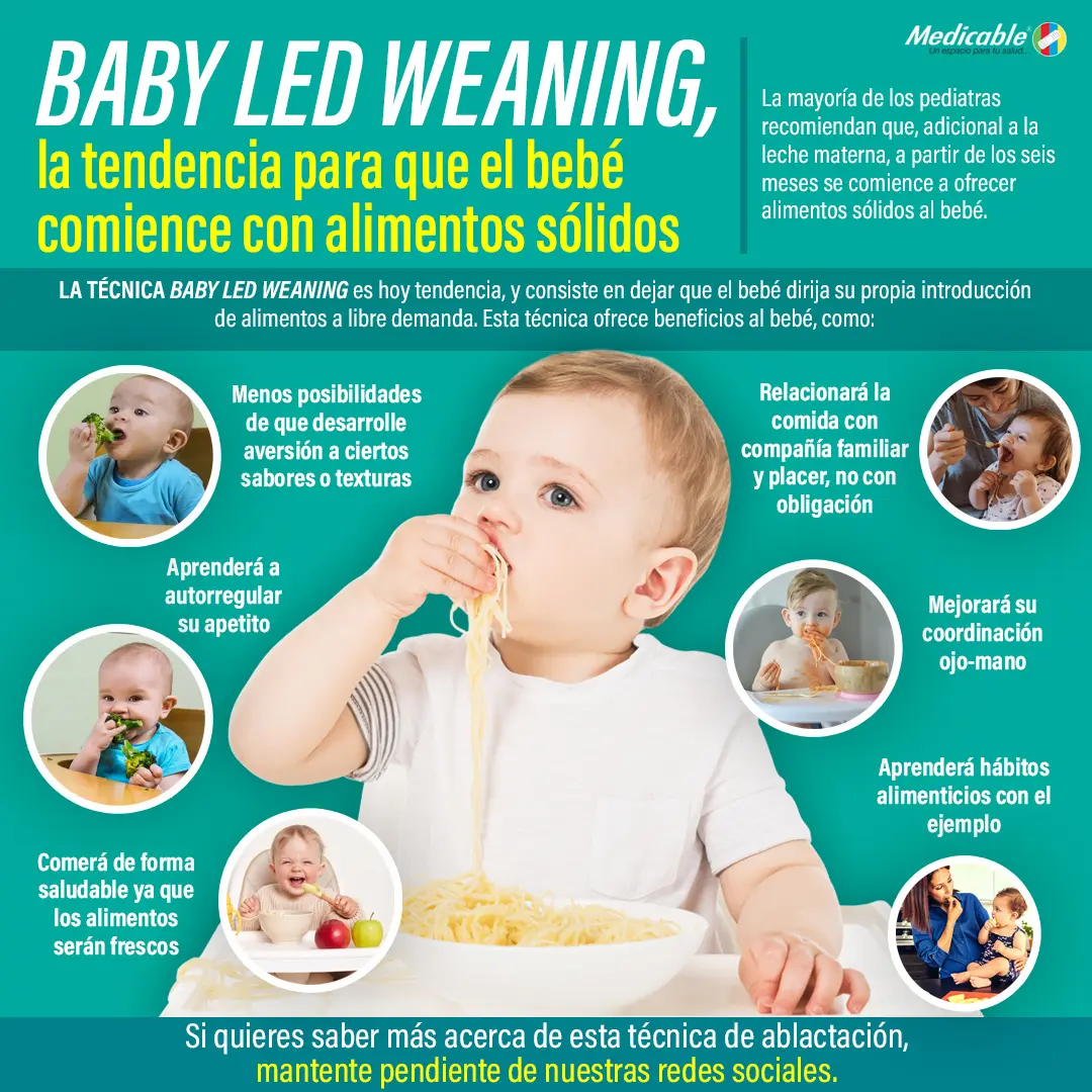 imagen del artículo Baby Led Weaning, la tendencia para que el bebé comience con alimentos sólidos