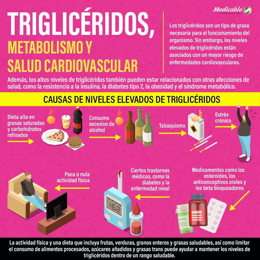 imagen de la infografia Triglicéridos metabolismo y salud cardiovascular