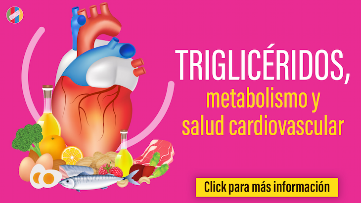 imagen de la infografia Triglicéridos metabolismo y salud cardiovascular