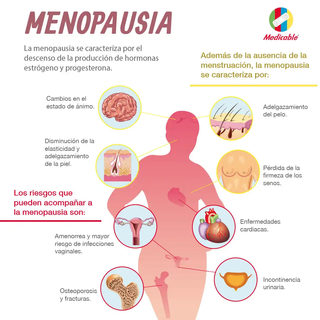 imagen de la infografia Menopausia