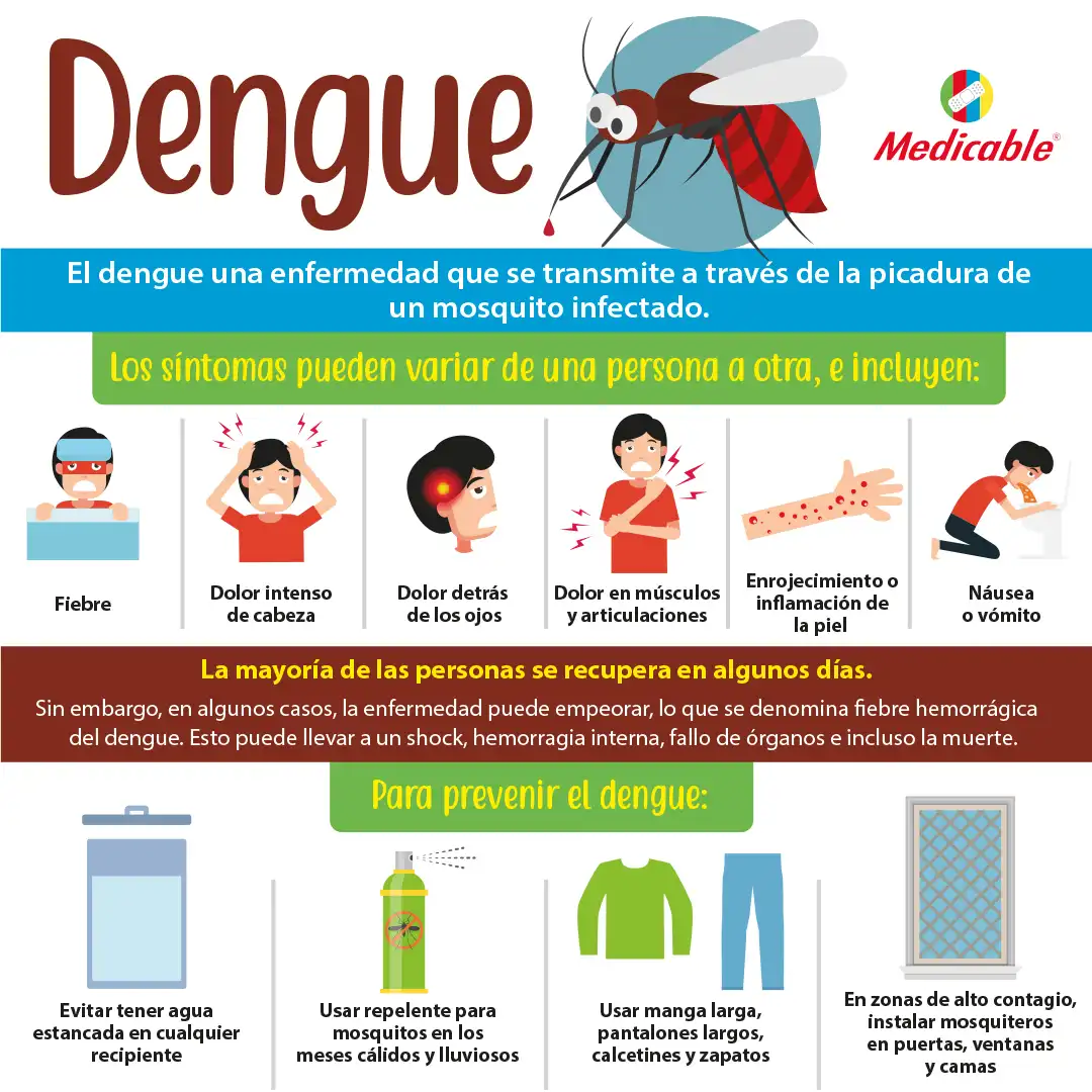 imagen de la infografia Dengue