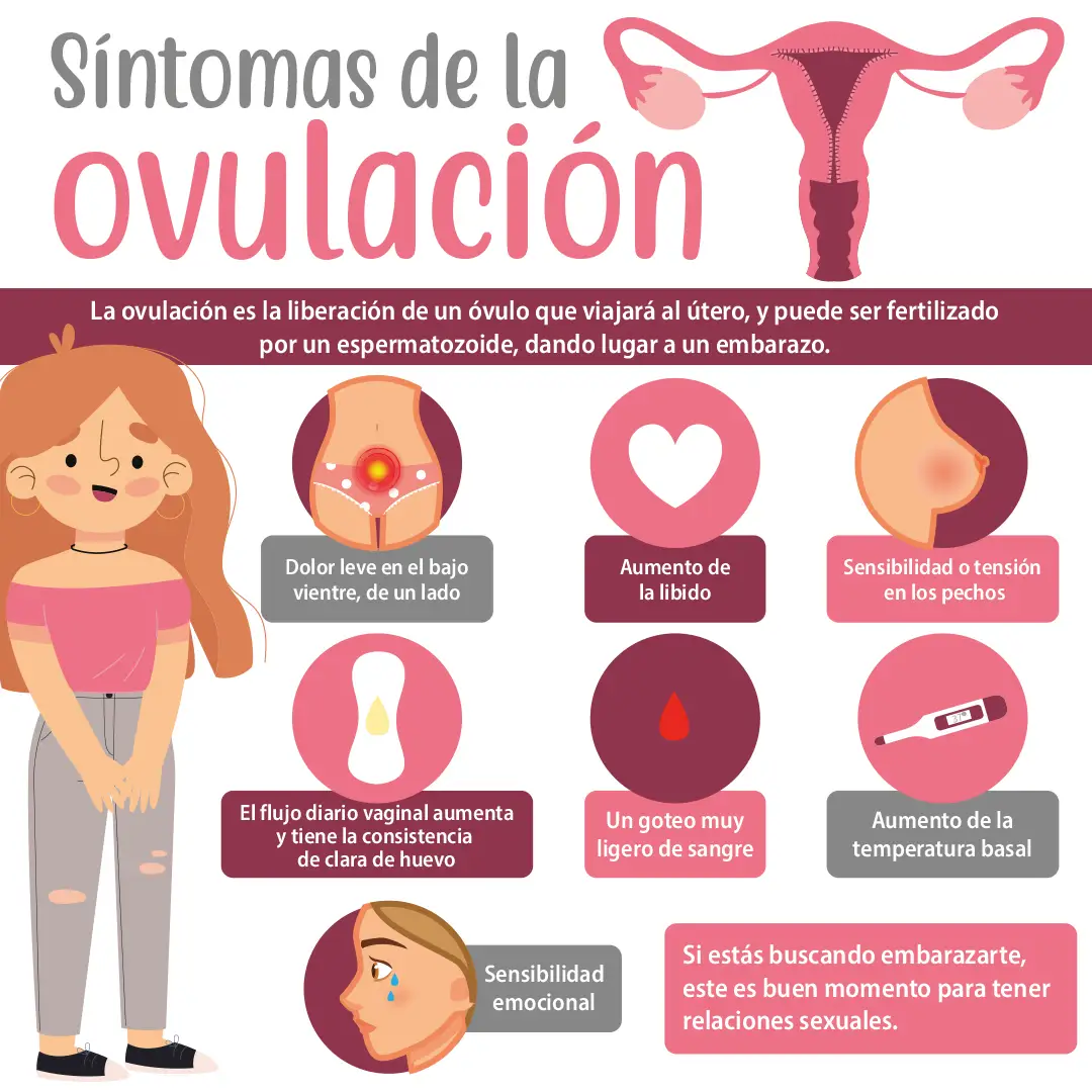 imagen de la infografia síntomas de la ovulación