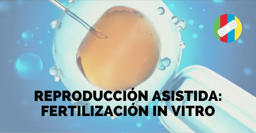 imagen del video REPRODUCCIÓN ASISTIDA: Fertilización In Vitro
