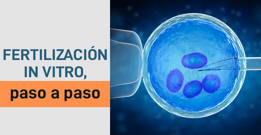 Fertilización in vitro, paso a paso