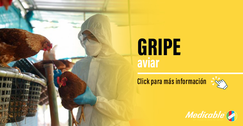 Gripe aviar
