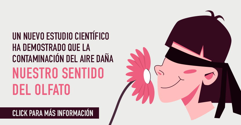 El sentido del olfato