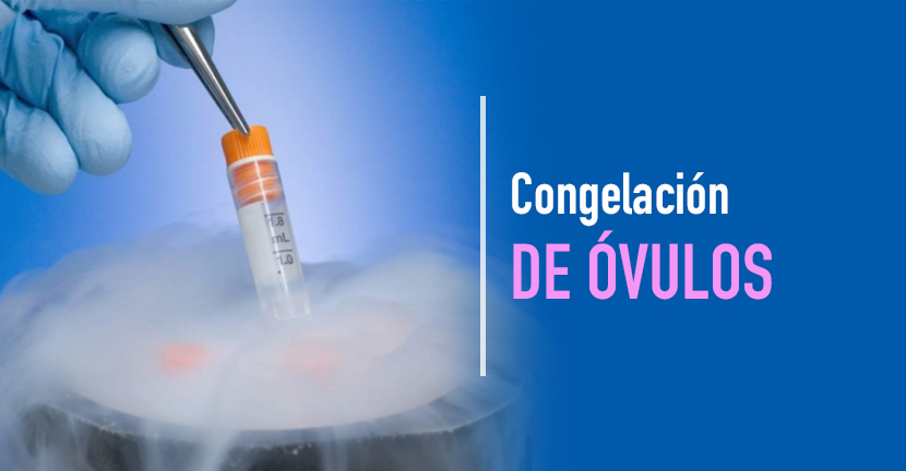 Congelación de óvulos