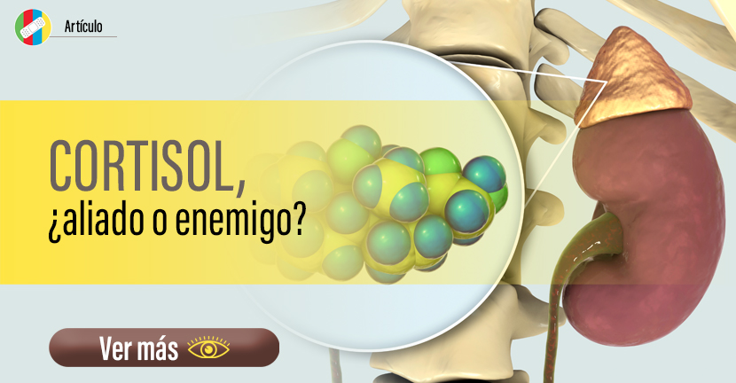 Cortisol, ¿aliado o enemigo?